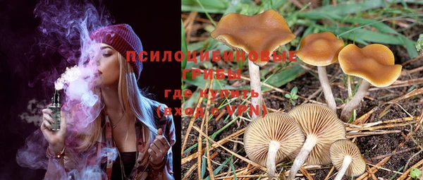 PSILOCYBIN Зерноград