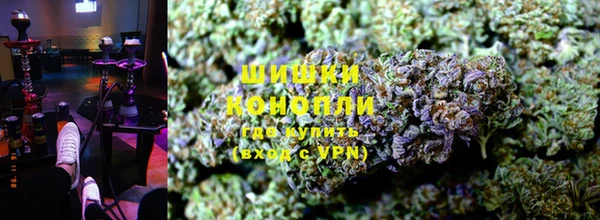 PSILOCYBIN Зерноград