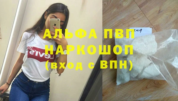 PSILOCYBIN Зерноград