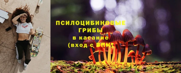 а пвп мука Тобольск