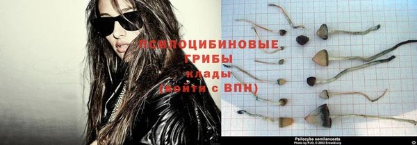 а пвп мука Тобольск